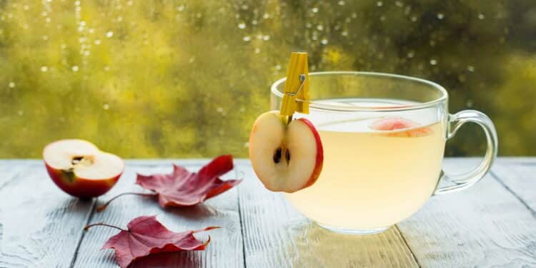 Créditos: depositphotos.com / elenafetisova