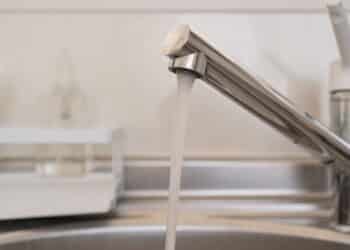 Créditos: depositphotos.com / elutas