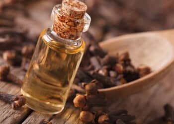 Aprenda a plantar cravo-da-índia e tenha flores aromáticas de graça na sua casa!
