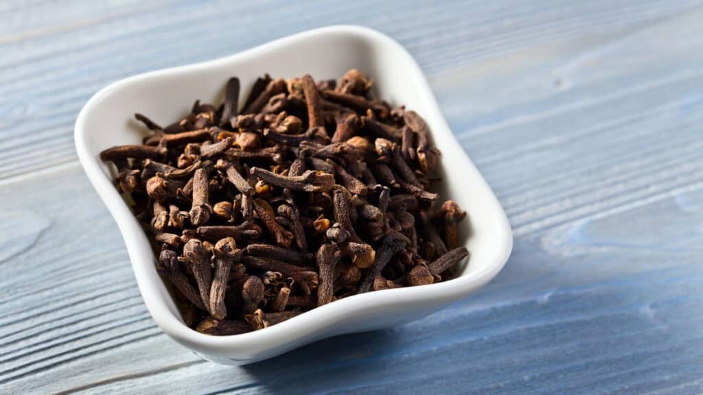 Aprenda a plantar cravo-da-índia e tenha flores aromáticas de graça na sua casa!