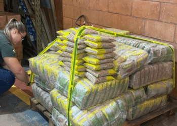 Mapa apreende 32 toneladas de arroz e feijão irregulares em supermercados de SP!