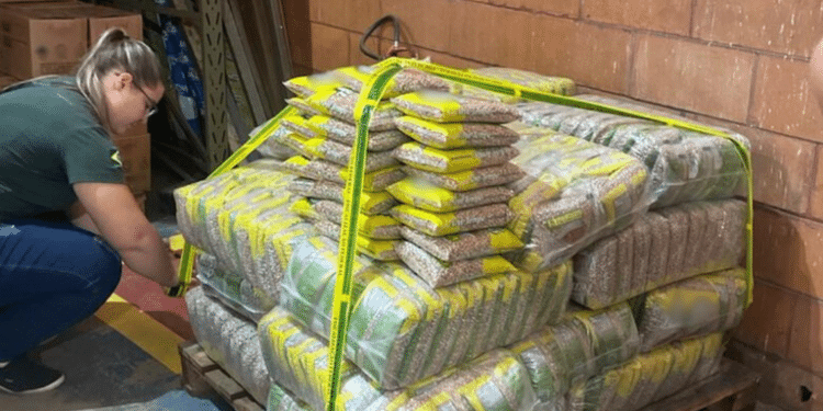 Mapa apreende 32 toneladas de arroz e feijão irregulares em supermercados de SP!