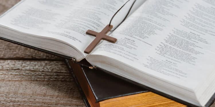 Créditos: depositphotos.com / VadimVasenin