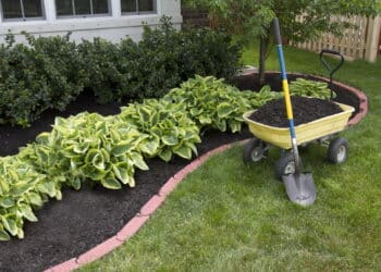 Maio é o mês ideal para dar uma nova vida ao jardim! Veja essas 3 dicas simples para renovar o seu jardim!