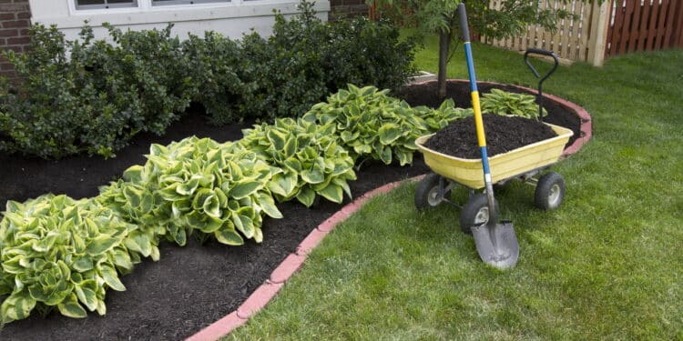 Maio é o mês ideal para dar uma nova vida ao jardim! Veja essas 3 dicas simples para renovar o seu jardim!