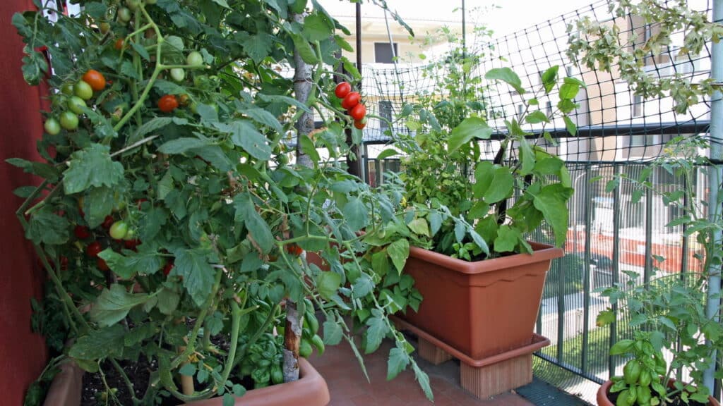 Maio é o mês ideal para dar uma nova vida ao jardim! Veja essas 3 dicas simples para renovar o seu jardim!