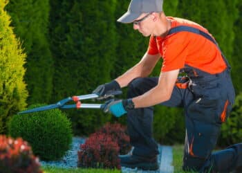 Profissionais revelaram os segredos de jardinagem que todo mundo precisa saber em 2025