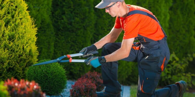 Profissionais revelaram os segredos de jardinagem que todo mundo precisa saber em 2025