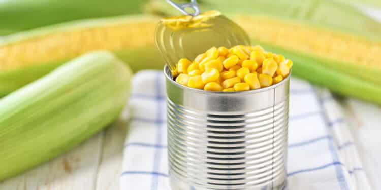 Como transformar lata de milho em vasos de planta? Rápido e fácil!
