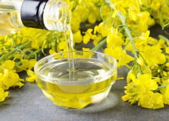Adeus azeite de oliva! Conheça o óleo vegetal que é mais saudável e barato!