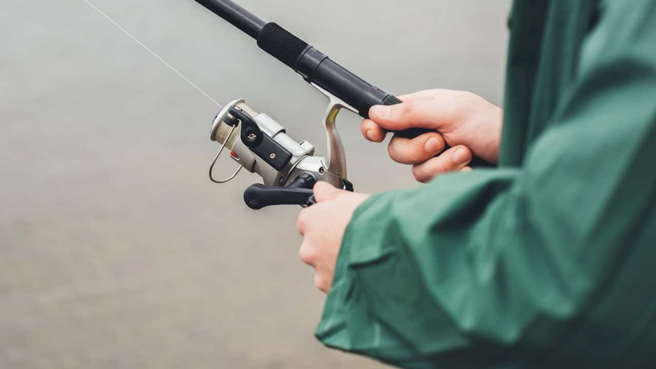Cresce a pesca esportiva no Nordeste! - Terra Brasil Notícias