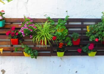 5 ideias criativas de vaso de plantas com materiais que você tem na sua casa