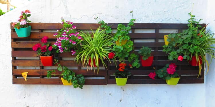 5 ideias criativas de vaso de plantas com materiais que você tem na sua casa