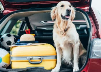 Top 3 carros com porta-malas grande para viajar em família nas férias!