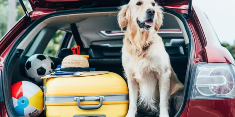 Top 3 carros com porta-malas grande para viajar em família nas férias!