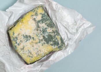 Este queijo foi retirado com urgência de todos os supermercados do país devido à uma bactéria perigosa!