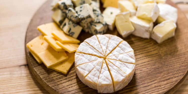 Alerta sobre contaminação por Escherichia coli em queijo de marca conhecida no país