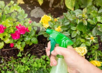 Créditos: depositphotos.com / FotoHelin