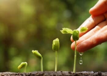 Créditos: depositphotos.com / weerapat