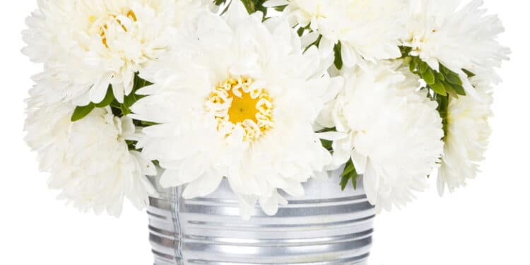 Como transformar latas em vasos de planta? Personalize do SEU jeito!
