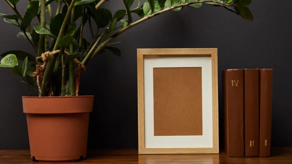 5 plantas perfeitas para decorar a entrada da sua casa