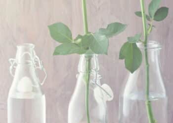 Plantar ficou muito mais fácil e criativo com essas novas dicas reciclando potes de vidro