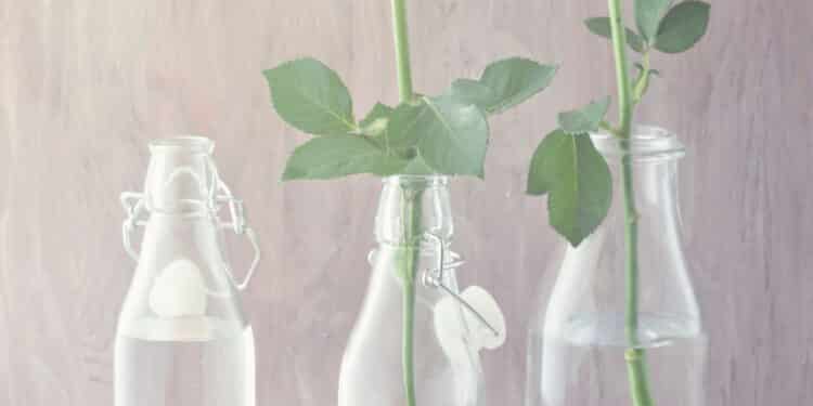 Plantar ficou muito mais fácil e criativo com essas novas dicas reciclando potes de vidro
