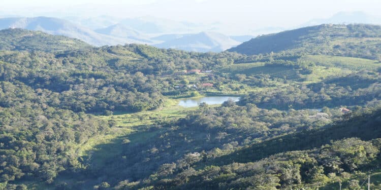 Conheça a "Suíça brasileira" no Nordeste: um paraíso gelado que foge do padrão da região