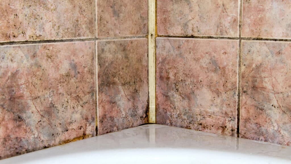 Seu banheiro está com infiltração no piso? Veja o que fazer e como evitar o problema