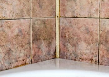 Chega de mofo no banheiro: elimine o preto do rejunte e azulejos com essa dica poderosa
