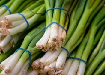 Veja o passo a passo para cultivar cebolinha no vaso sem complicação