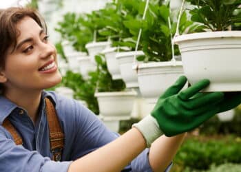 Você deve conhecer este truque fácil com café se quiser ter um jardim mais saudável