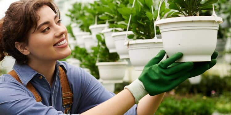 Essas 3 plantas podem atrair riqueza e paz para dentro da sua casa