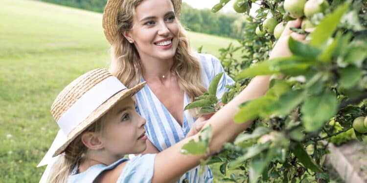 Conheça as árvores frutíferas mais duradouras para um jardim produtivo sempre