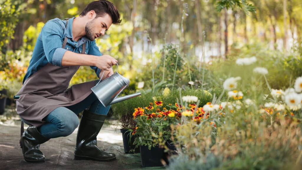 Suas plantas podem estar morrendo por esse erro; veja o truque simples e saiba como evitar