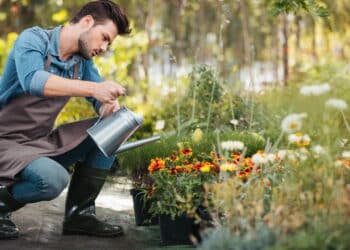 Veja os erros comuns ao regar a horta e os melhores truques dos jardineiros para evitá-los