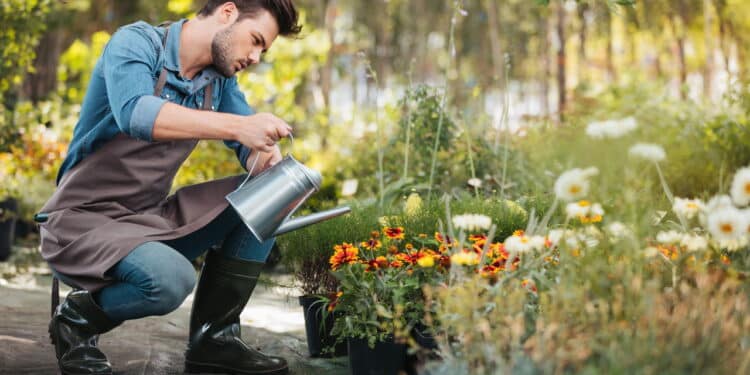 Veja os erros comuns ao regar a horta e os melhores truques dos jardineiros para evitá-los