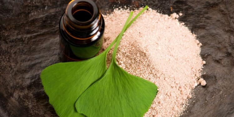 Esta planta milenar pode turbinar o cérebro e a memória; veja como cultivar em casa