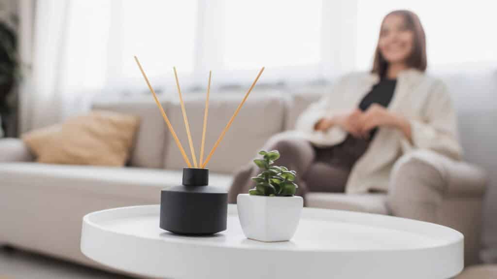 Saiba como deixar sua casa com um perfume irresistível o dia inteiro de forma natural