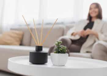 Saiba como deixar sua casa com um perfume irresistível o dia inteiro de forma natural