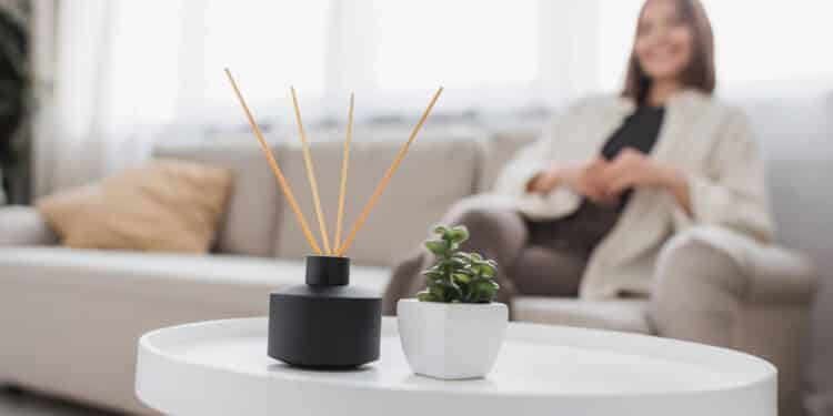 Conheça os aromatizadores naturais que fazem sua casa parecer um lugar mais agradável
