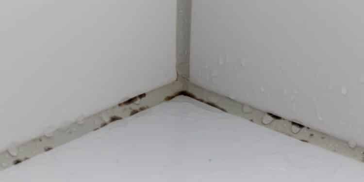 Seu banheiro está com infiltração no piso? Veja o que fazer e como evitar o problema