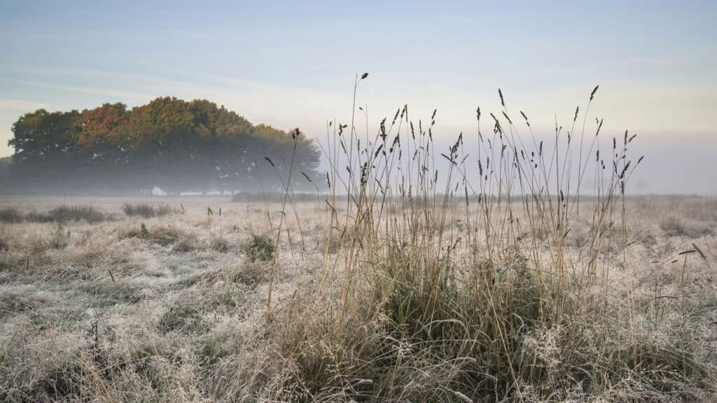 Frio extremo em SC: cidade bate recorde e registra menor temperatura do ano no país; veja