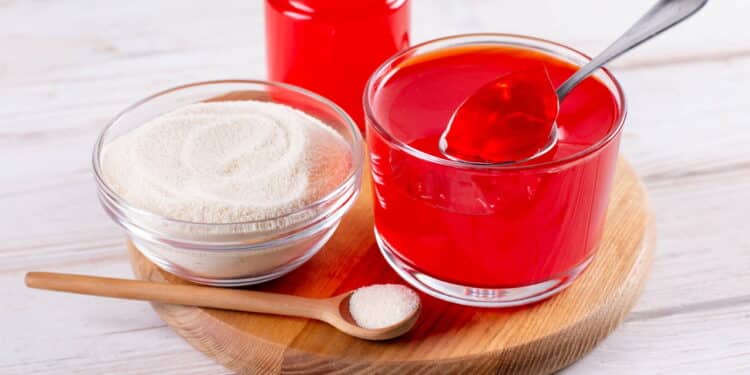 Gelatina rica em proteínas: veja a receita simples que turbina sua massa muscular