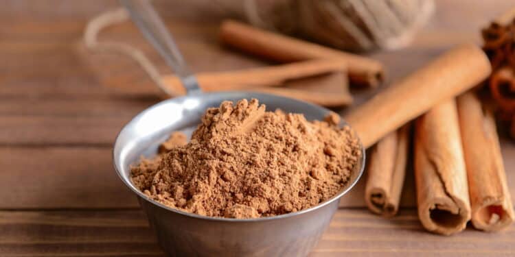 Alerta da Anvisa: canela em pó de marca popular tem lote retirado das prateleiras