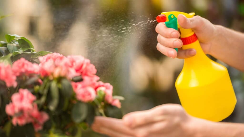 Esse truque rápido com borrifador deixa suas plantas com aparência impecável