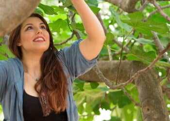 Transforme seu jardim: conheça as árvores frutíferas que produzem por muitos anos