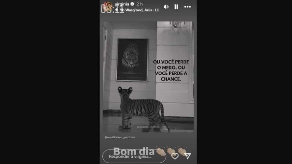 Vídeo de Zé Felipe viraliza e Virginia Fonseca reage com mensagem misteriosa