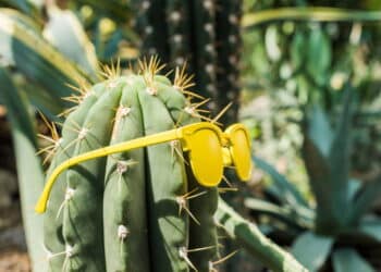 Créditos: depositphotos.com / IgorVetushko