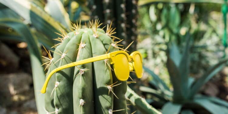 Créditos: depositphotos.com / IgorVetushko